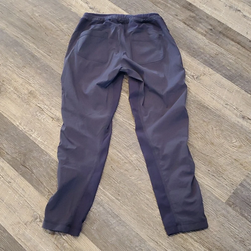 Lululemon Ankle Pants Striped Elastic Waist Athleisure Women Size 4